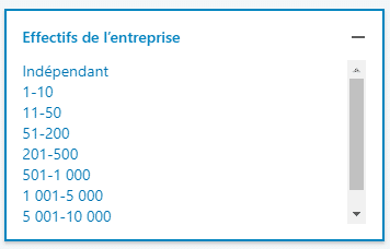 Effectifs de l'entreprise dans les filtres LinkedIn Sales Navigator.