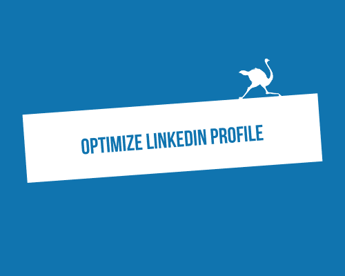 optimize linkedin profile
