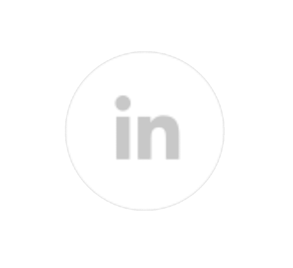 Logo LinkedIn png rond blanc et gris