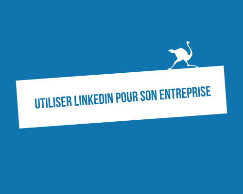 Pourquoi et comment utiliser LinkedIn pour son entreprise