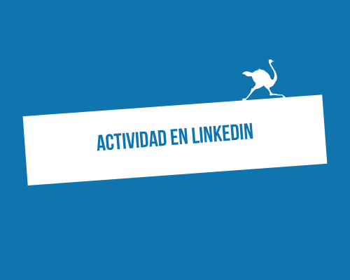 actividad-en-inkedin