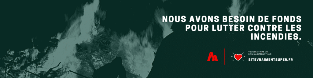 Rouge et Vert Photo Lourd Incendies Crise Centre LinkedIn Bannière