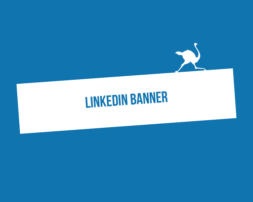 LinkedIn banner: 8 steps to create the best coverage