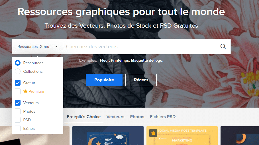 Fiche Technique PNG Images, Vecteurs Et Fichiers PSD