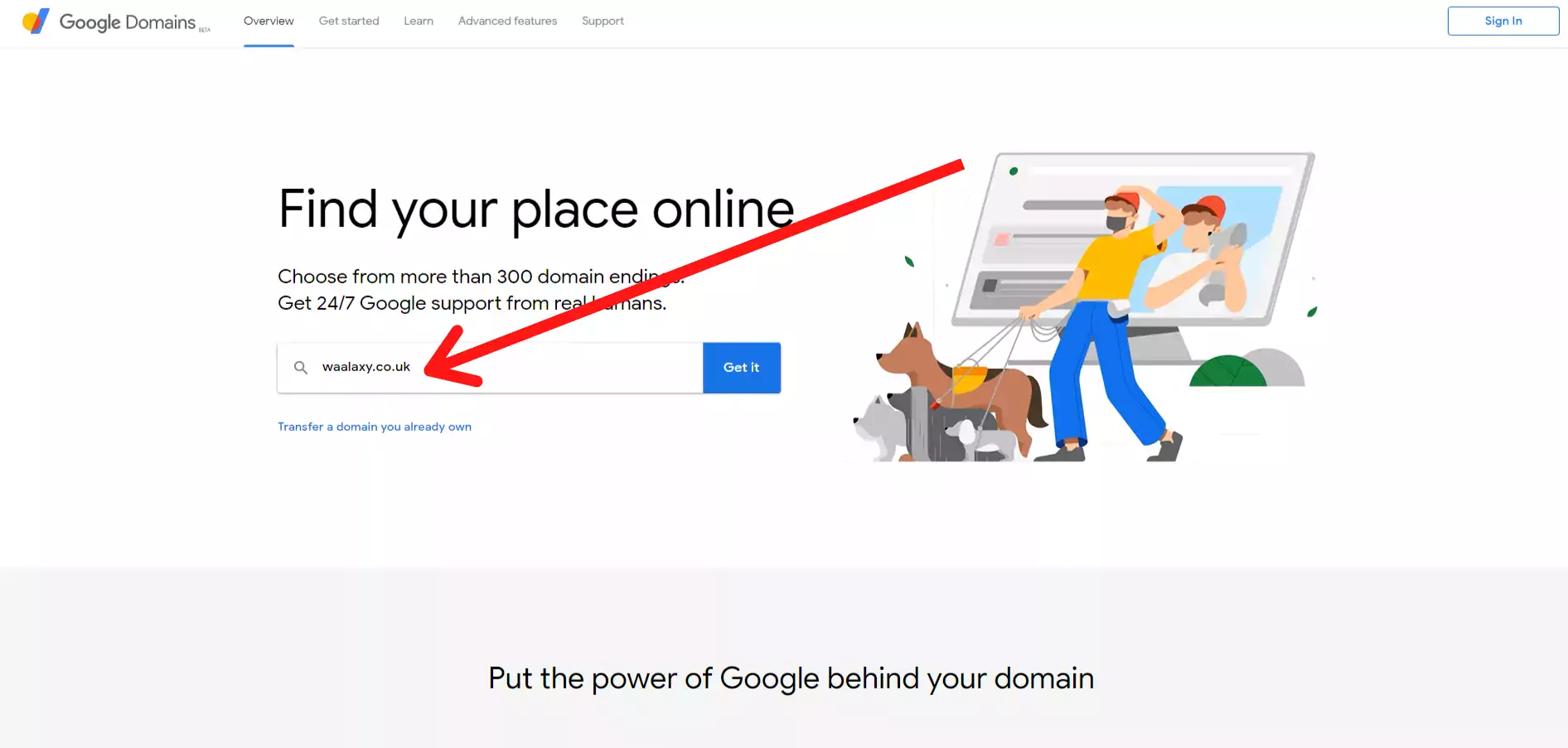 google domain 1