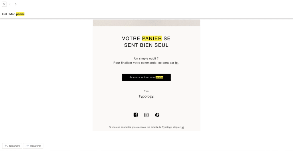 Email marketing exemple : oubli ou abandon de panier.