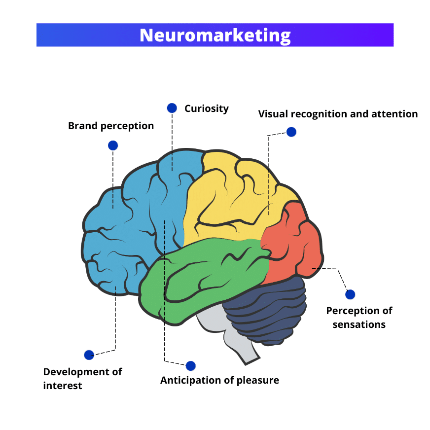 neuromarketing brain science