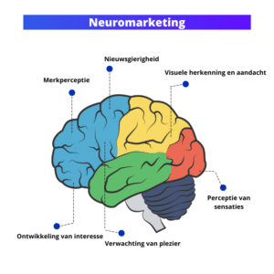 neuromarketing brain