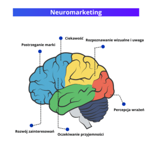 neuromarketing brain