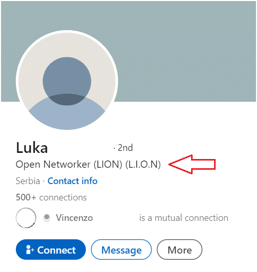 LION LinkedIn