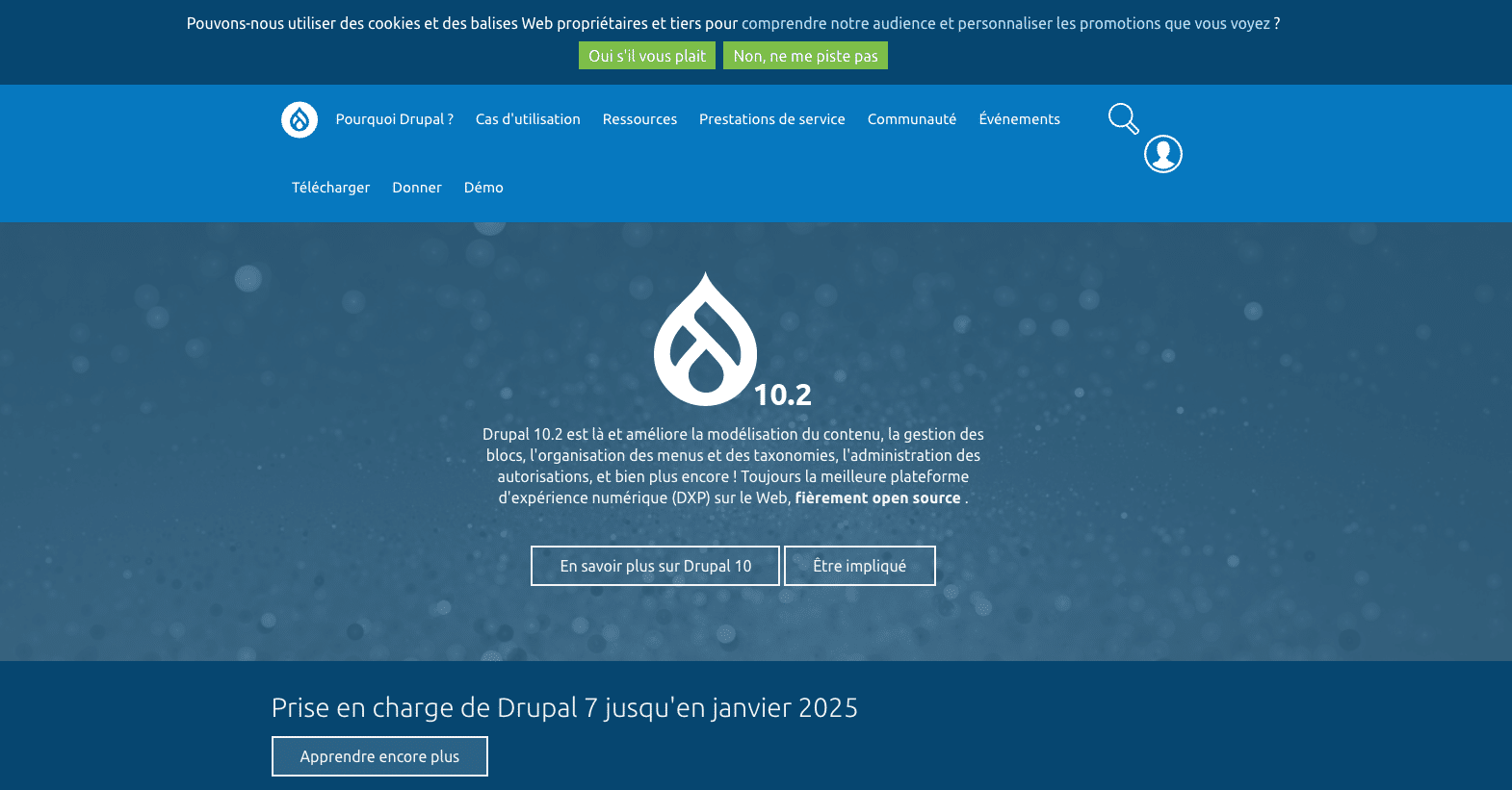 Aperçu de la page d'accueil de l'outil Drupal