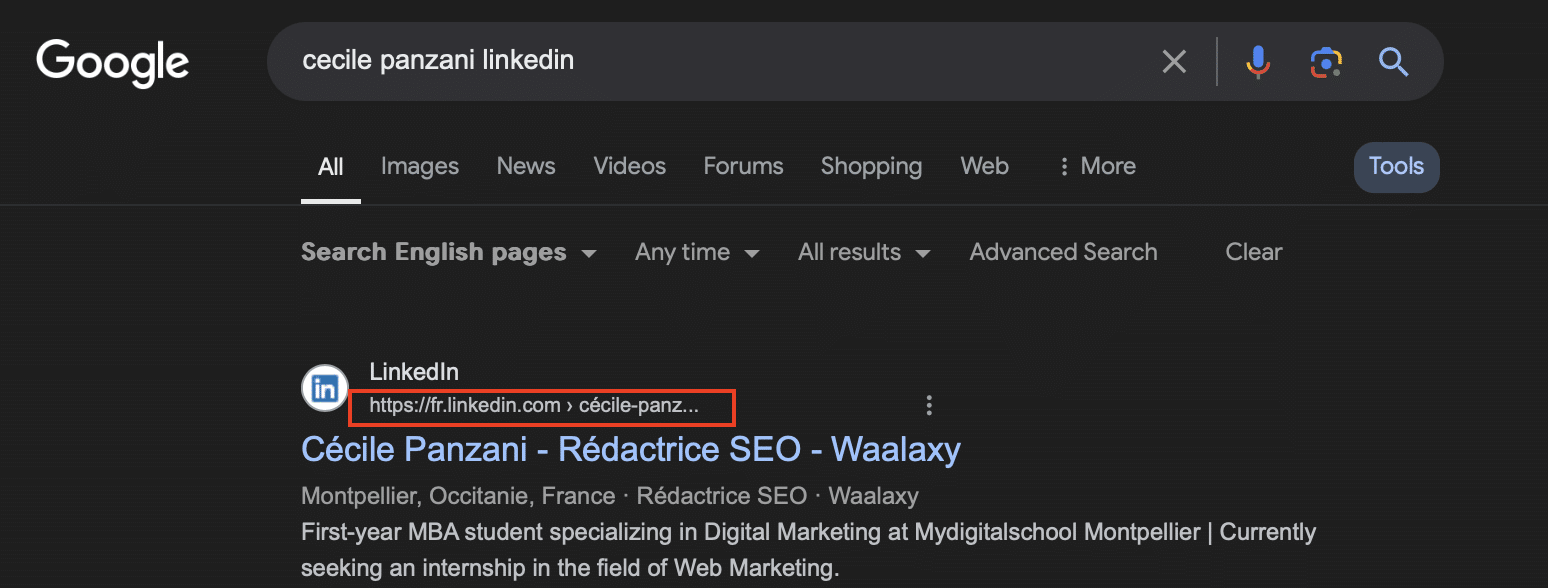 URL di LinkedIn