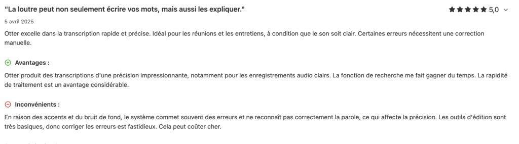 Otter.ai avis, alternative copilot